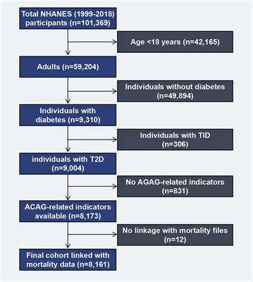 Unveiling the hidden risks: albumin-corrected anion gap as a superior marker for cardiovascular mortality in type 2 diabetes: insights from a nationally prospective cohort study